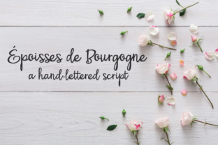 PN Époisses De Bourgogne: A Script Font for Campaigns